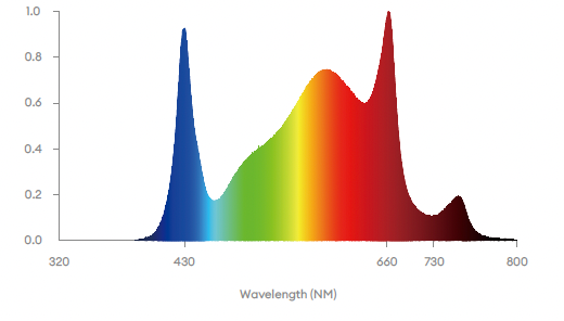 GL82 UB1 full spectrum graph